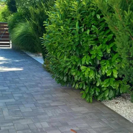 White Stone Apartment *