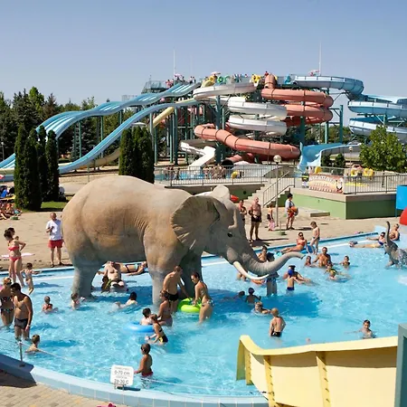 Apartment White Stone