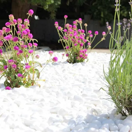 Apartment White Stone Hajduszoboszlo